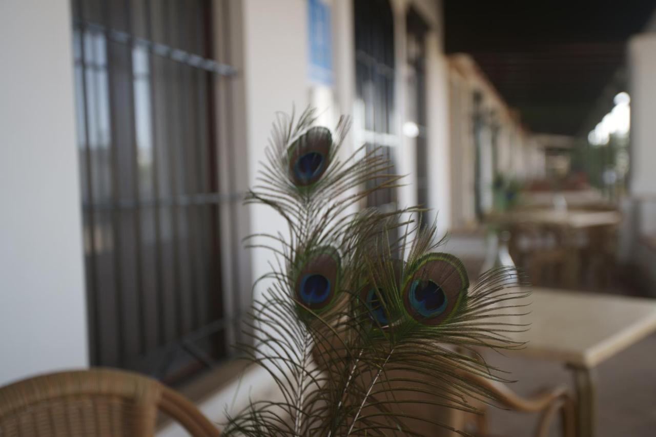 Hostal Santa Habitaciones Aldea del Rocío Exterior foto